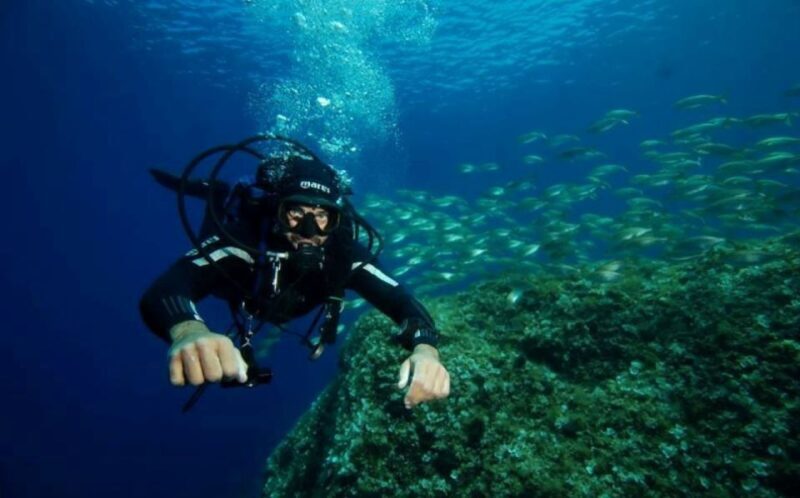 San Domino, Tremiti: Guided dives around Tremiti Islands - Why This Tour Stands Out