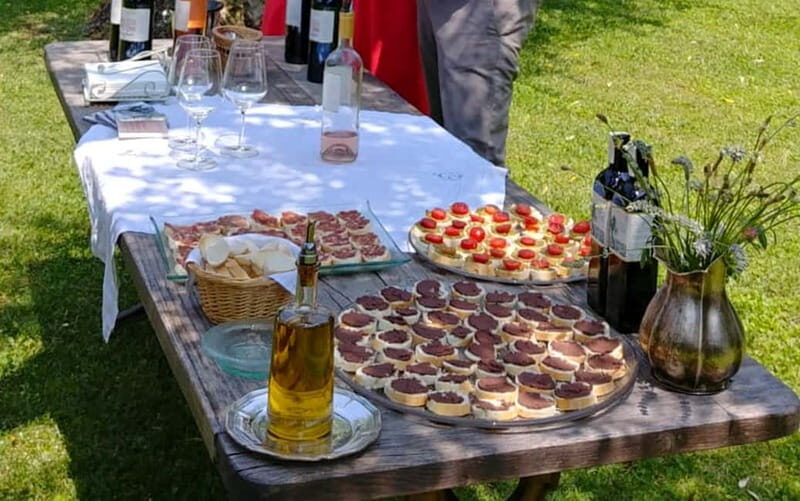 San Felice del Benaco: Vineyard Tour with Wine Tasting - Good To Know