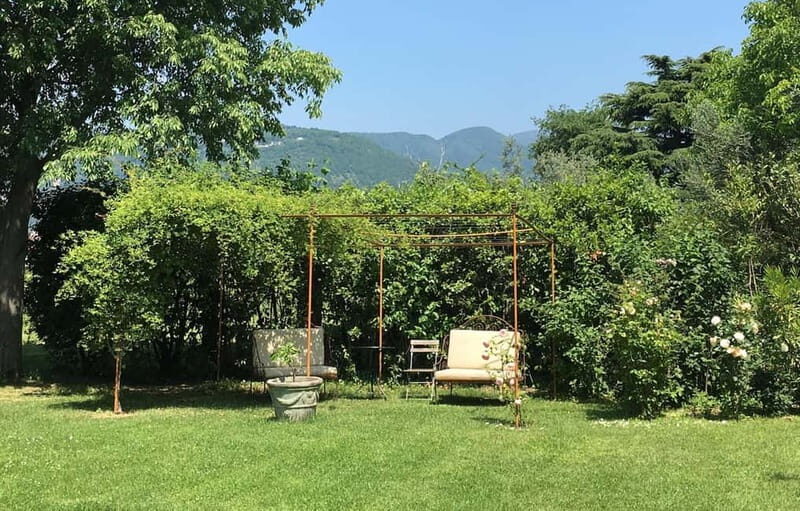 San Felice del Benaco: Vineyard Tour with Wine Tasting - An Authentic Look at Lombardy’s Wine Heritage