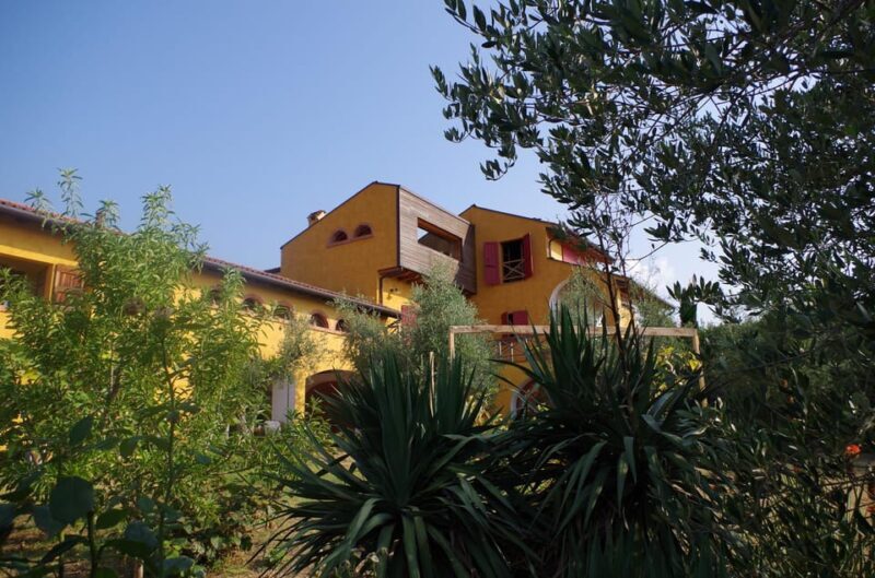 San Felice: Olive Oil Tasting with local food on Garda Hills - Good To Know