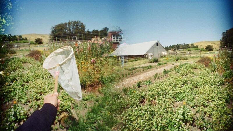 San Francisco: 5-Day California Coast, Vineyards & Wine Tour - Good To Know