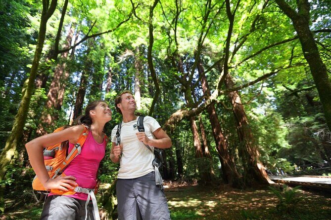 San Francisco Alcatraz Island and Guided Muir Woods Tour - The Sum Up: Who is this tour best for?