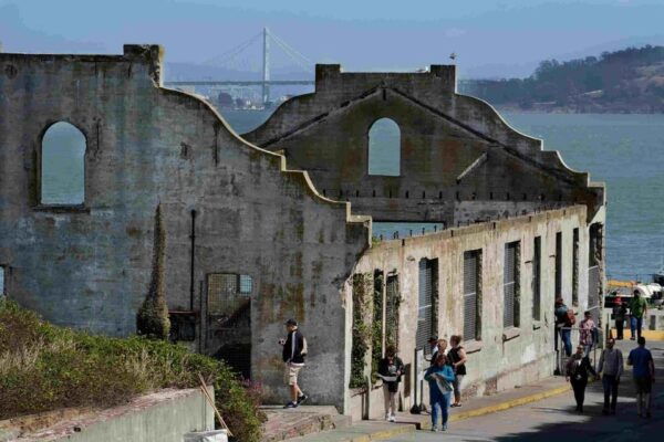 San Francisco: Alcatraz Island & Guided Muir Woods Tour - Customer Reviews