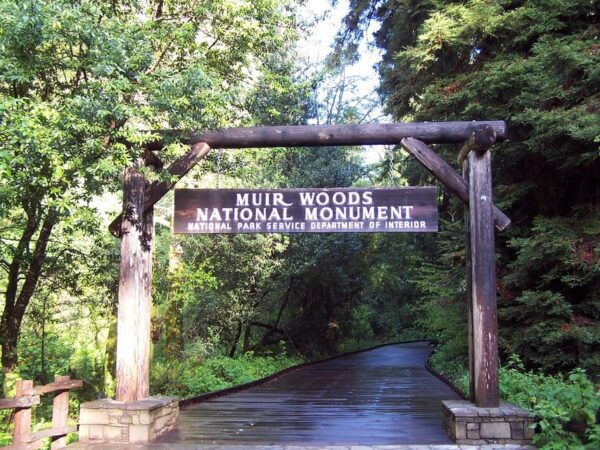 San Francisco: Alcatraz Island & Guided Muir Woods Tour - Scenic Drive Over Golden Gate Bridge