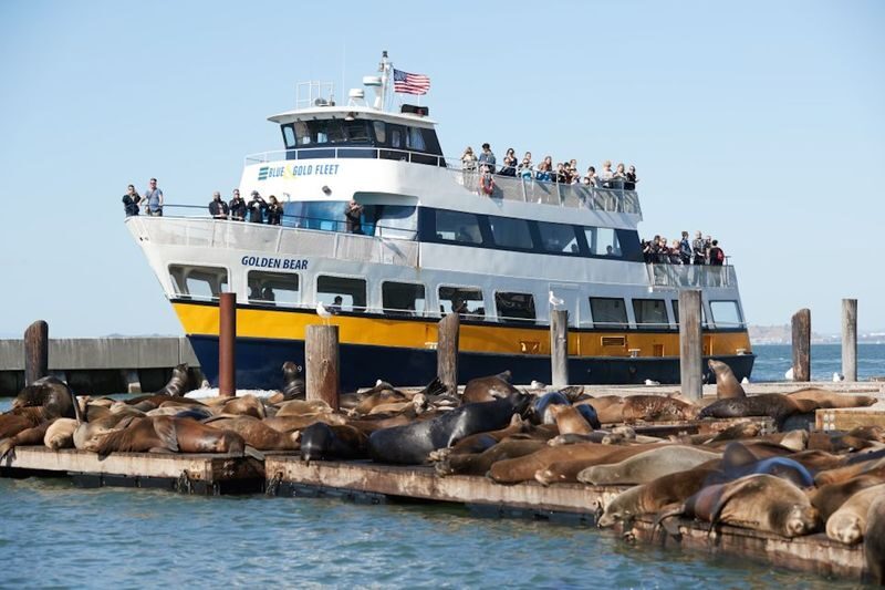 San Francisco Alcatraz Night Tour with Bay Cruise - Who should choose this Alcatraz night tour?
