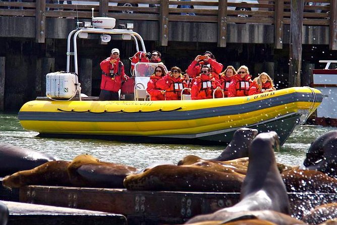 San Francisco Bay Adventure Boat Sightseeing - Meeting and Pickup, Cancellation Policy