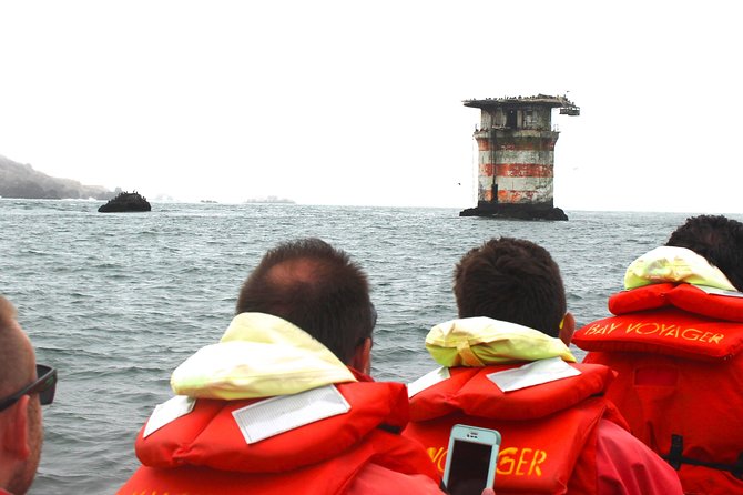 San Francisco Bay Adventure Boat Sightseeing - Common Questions