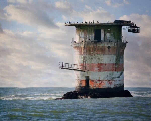 San Francisco Bay: Adventure Boat Tour - Group Size and Language