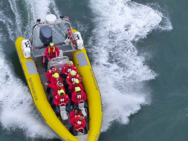 San Francisco Bay: Adventure Boat Tour - Tour Duration