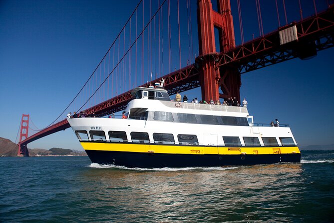 San Francisco Bay Cruise & Double Decker Night Tour - Traveler Photos