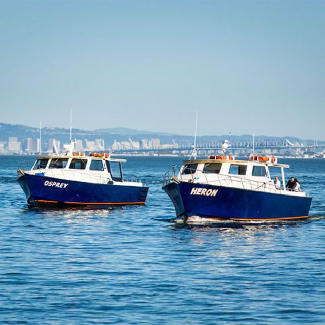 San Francisco Bay: Private Charter Heron & Osprey - Activity Details