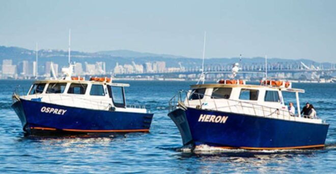 San Francisco Bay: Private Charter Heron & Osprey - Facilities and Amenities