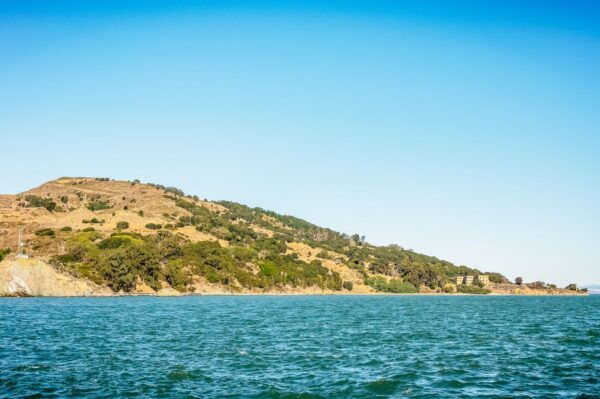 San Francisco: Bay Sailing Tour With Drinks - The Sum Up
