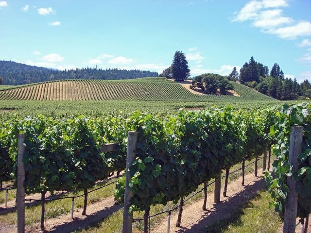 San Francisco: Big Bus Hop-On Hop-Off With Wine Country Tour - Duration and Departure