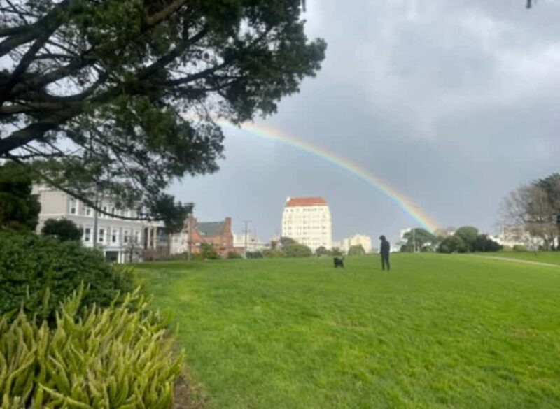 San Francisco: Billionaire's Row & Palace of Fine Arts Tour - The Experience: What Works Well