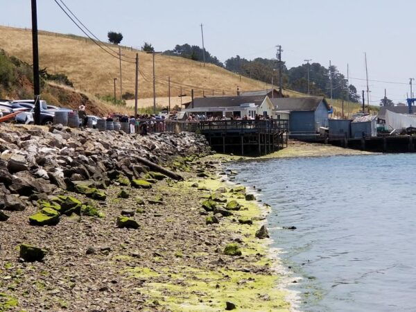 San Francisco: Cheese, Honey, Oysters & Wine Tour of Sonoma - Directions