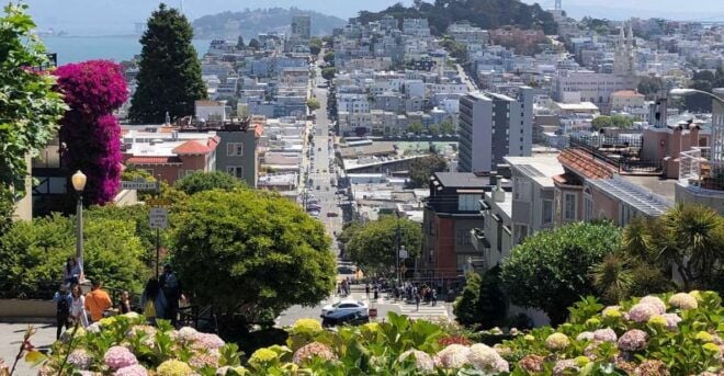 San Francisco: City Highlights Walking Tour - The Sum Up
