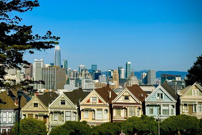 San Francisco City Tour in New EV Volkswagen Van - What makes this tour stand out?