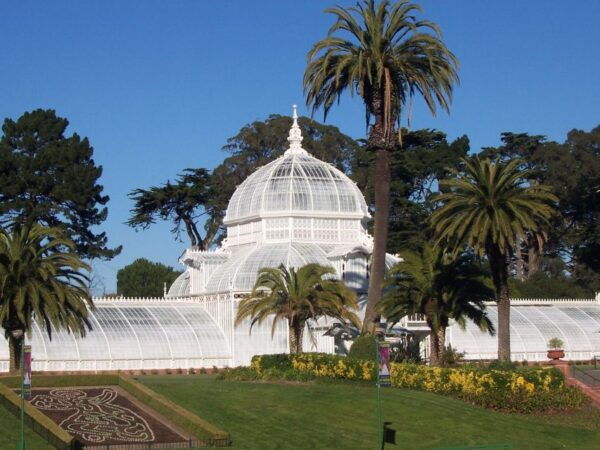 San Francisco City & Wine Tour - City Tour Experience