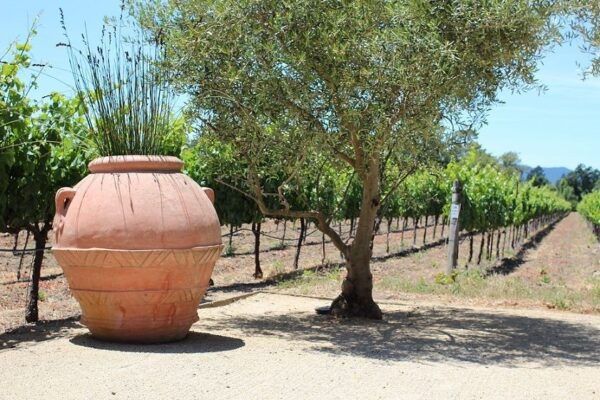 San Francisco City & Wine Tour - Selecting Participants and Date