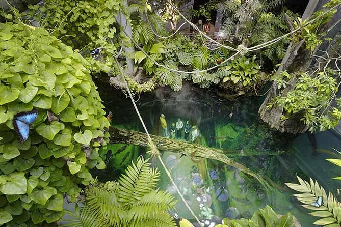 San Francisco CityPASS - End Point and Traveler Information