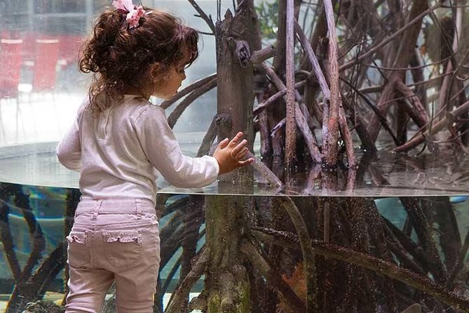 San Francisco CityPASS - Cancellation Policy