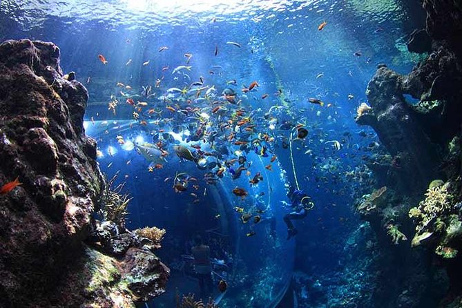 San Francisco CityPASS - Benefits of Using Citypass