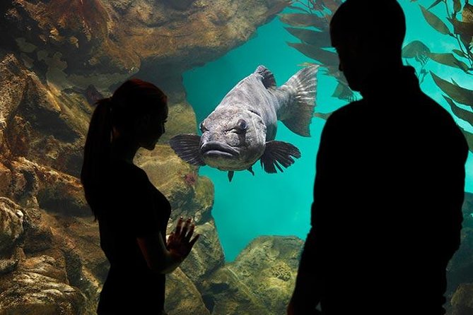 San Francisco CityPASS - Common Questions