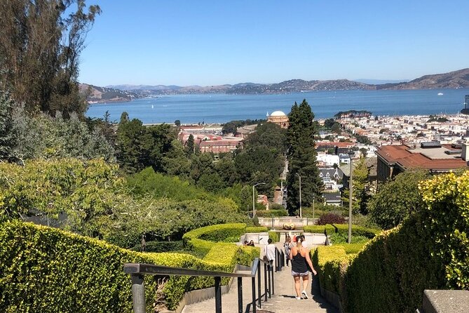 San Francisco Cow Hollow Tour - Small Group Experience