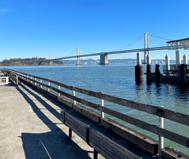 San Francisco: Full-Day City Tour W/ Muir Woods & Sausalito - Reservation and Information