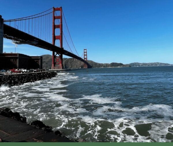 San Francisco: Full-Day City Tour W/ Muir Woods & Sausalito - Entry Fee and Discounts
