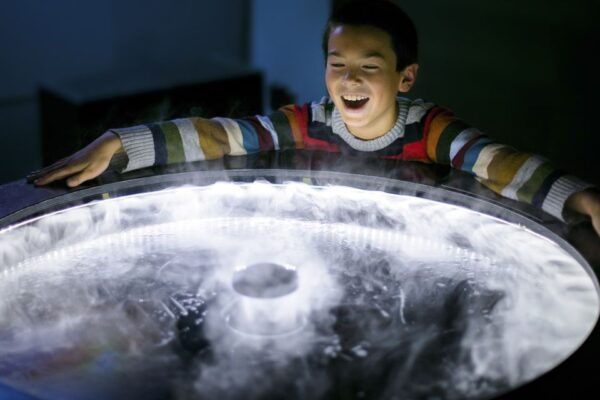 San Francisco: Go City All-Inclusive Pass 15 Attractions - Big Bus Hop-on Hop-off San Francisco: 1-day Classic Tour