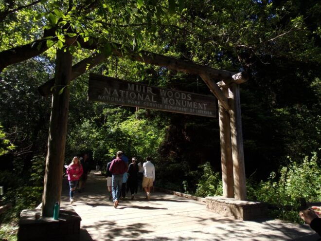 San Francisco Grand City Tour Muir Woods and Sausalito - Overall Value and Experience