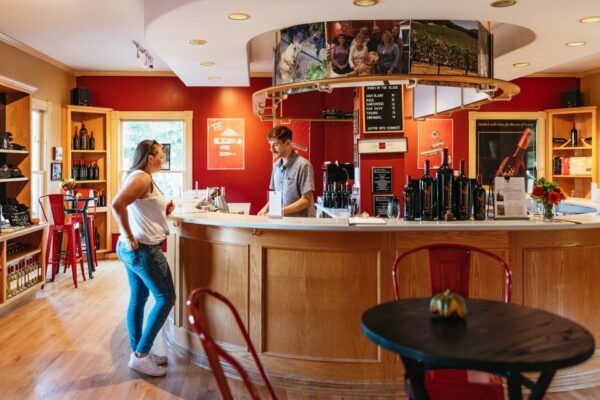 San Francisco: Half-Day Wine Country Excursion With Tastings - Scenic Views From Comfortable Coach