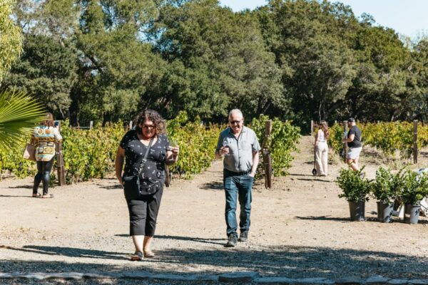 San Francisco: Half-Day Wine Country Excursion With Tastings - Common Questions
