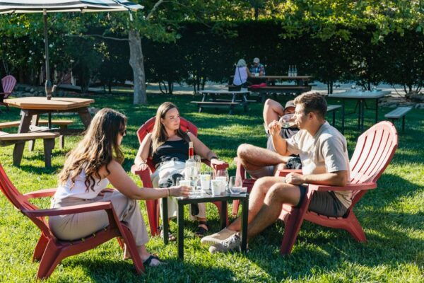 San Francisco: Half-Day Wine Country Excursion With Tastings - The Sum Up
