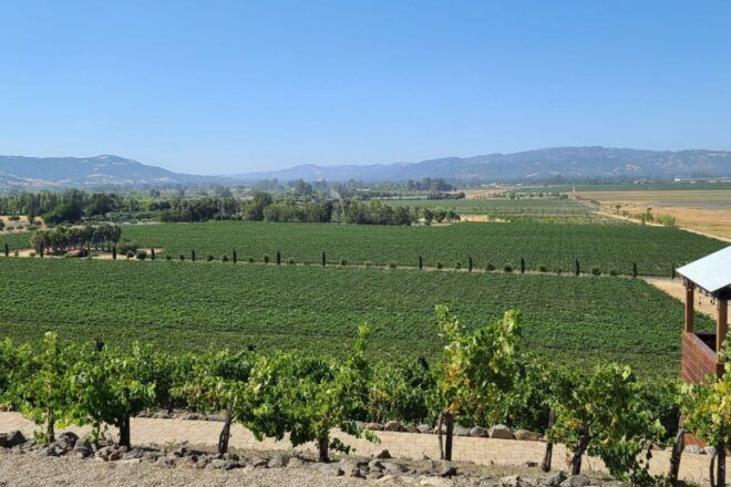 San Francisco: Half-Day Wine Tour With 2 Tastings Included - Inclusions