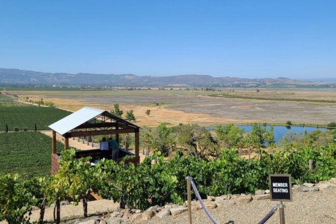 San Francisco: Half-Day Wine Tour With 2 Tastings Included - Important Information