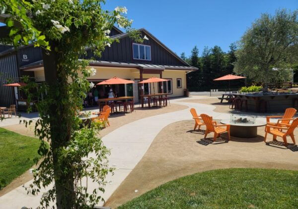 San Francisco: Half-Day Wine Tour With 2 Tastings Included - Pricing and Duration