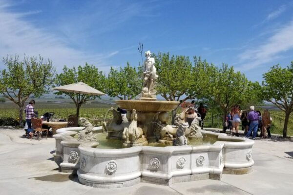 San Francisco: Half-Day Wine Tour With 2 Tastings Included - Cancellation and Payment