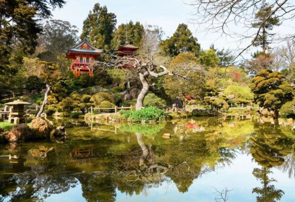 San Francisco: Hop-On Hop-Off Bus With Ferry & Alcatraz Tour - Common Questions