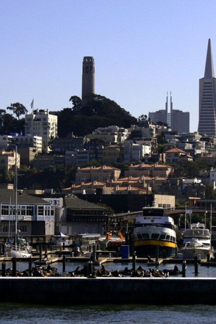San Francisco: Hop-On Hop-Off City Bus Tour and Bay Cruise - Cancellation and Refund Policy