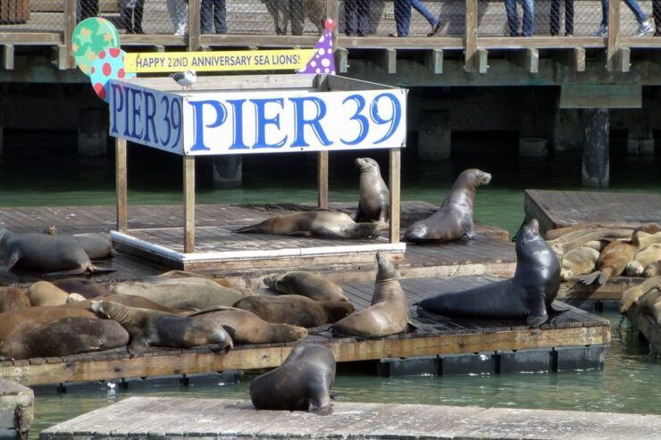 San Francisco: Hop-On Hop-Off Tour Plus Night Tour - Day Tour Highlights