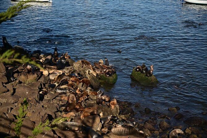 San Francisco International AirportSFO) Airport Transfer - Final Thoughts