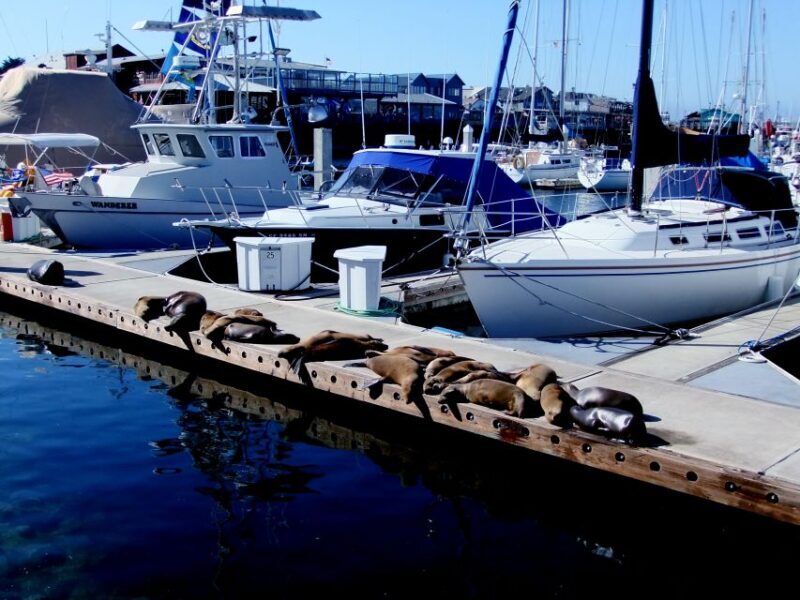 San Francisco: Monterey and Carmel Day Tour - 17-Mile Drive and Pebble Beach  