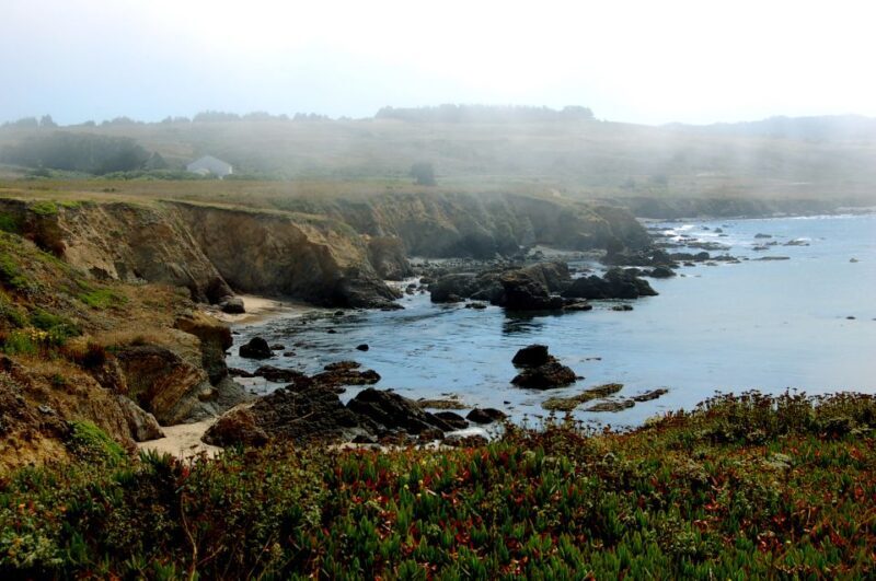San Francisco: Monterey and Carmel Day Tour - Transportation and Tour Logistics