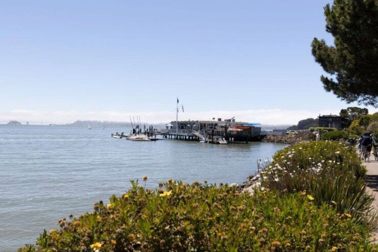 San Francisco: Muir Woods and Sausalito Entry Fee Included - Experience Highlights