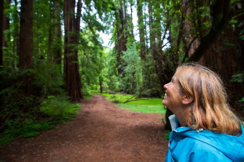 San Francisco: Muir Woods and Sausalito Tour with Admission - Authentic Insights from Reviews