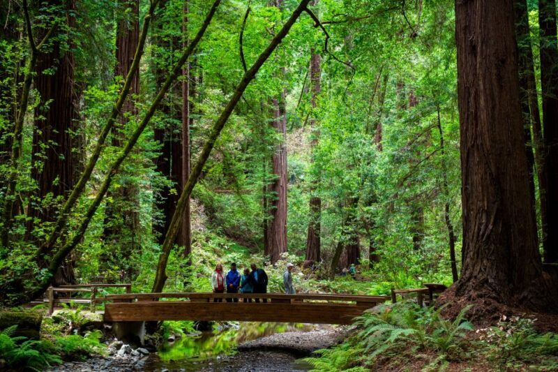 San Francisco: Muir Woods and Sausalito Tour with Admission - Frequently Asked Questions