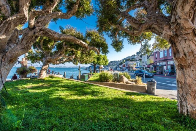 San Francisco: Muir Woods, San Francisco and Sausalito Tour - Full Description